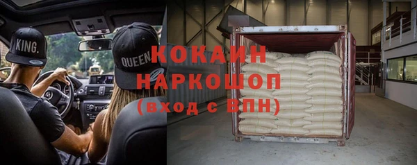 молекула духа Алексин