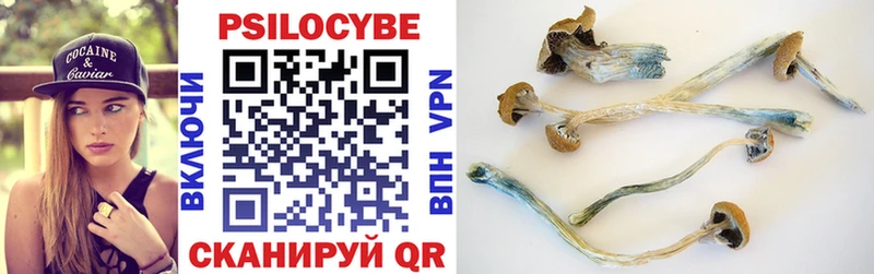 Галлюциногенные грибы Cubensis  купить наркоту  Дивногорск 
